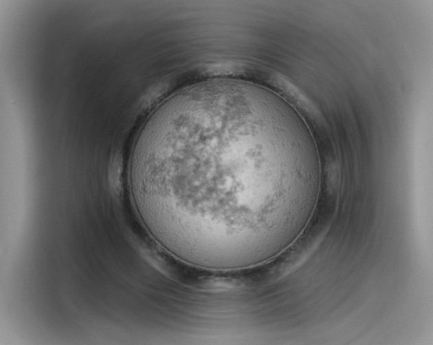 X0000115590490200911171033