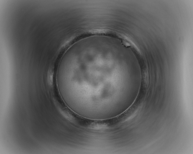 X0000115590491200911171033