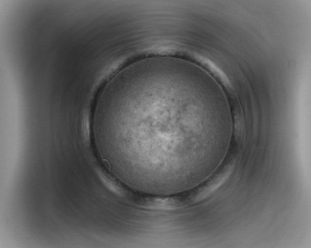 X0000115590493200911171032