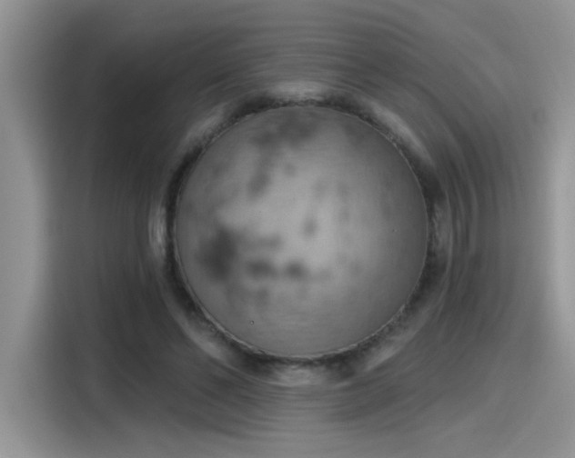 X0000115590494200911171032