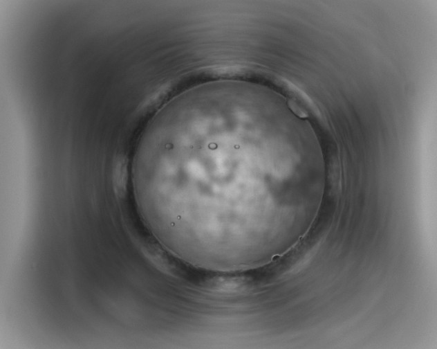 X0000115590495200911171032