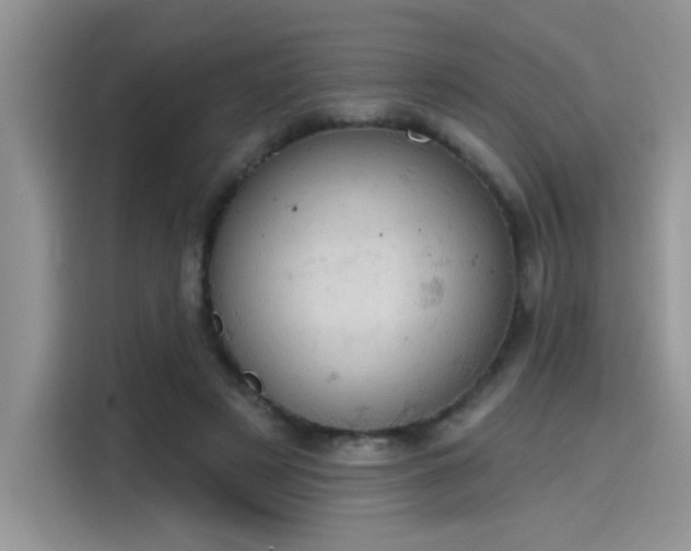 X0000115590497200911171032