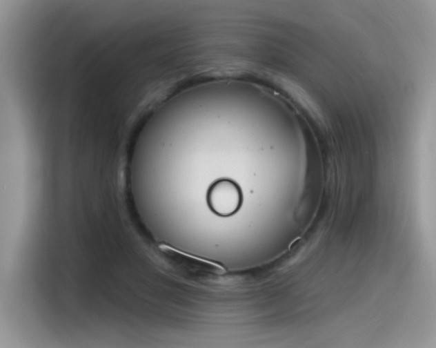X0000115590501200911171032