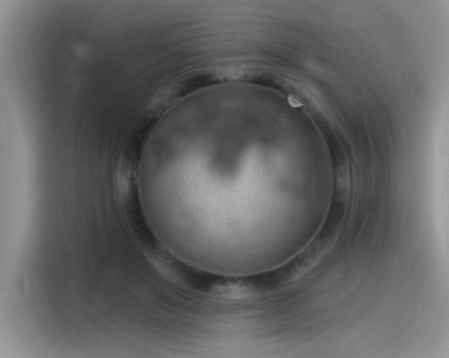X0000115590503200911171032