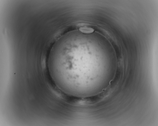 X0000115590504200911171032