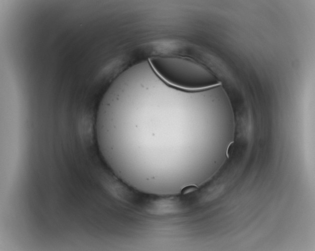 X0000115590505200911171032