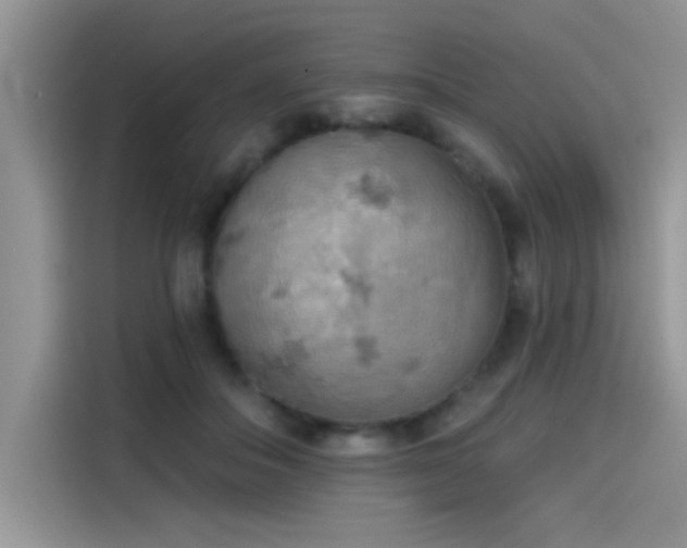X0000115590506200911171032