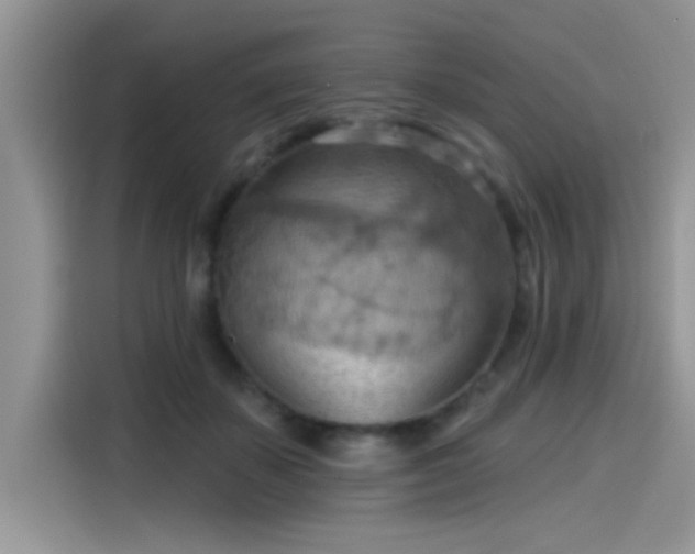 X0000115590507200911171032