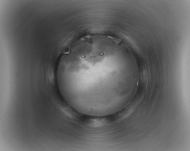 X0000115590508200911171032