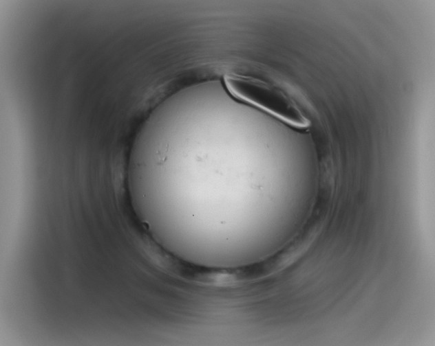 X0000115590509200911171032