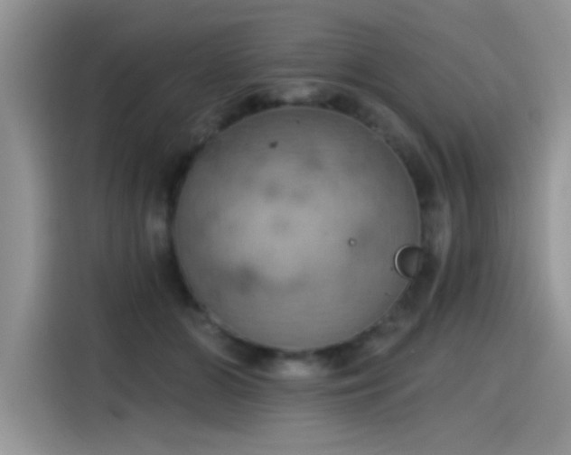 X0000115590510200911171032