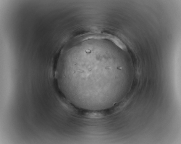 X0000115590512200911171032