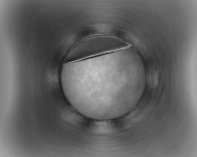 X0000115590516200911171032