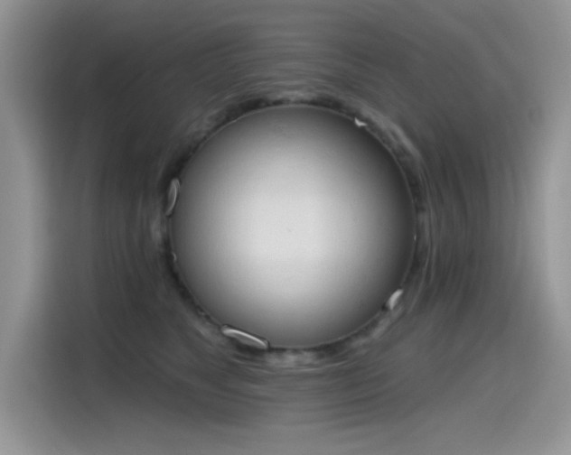 X0000115590517200911171032