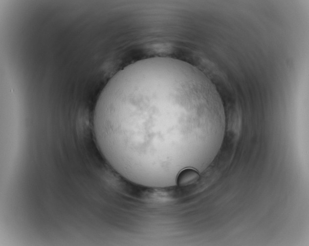 X0000115590518200911171032
