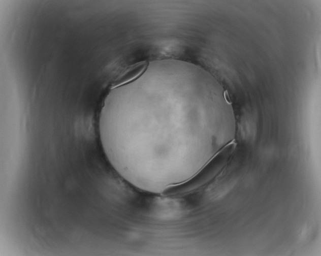 X0000115590520200911171032