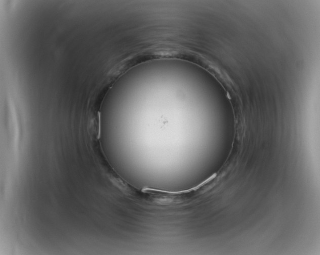 X0000115590521200911171032