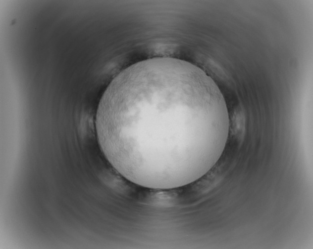 X0000115590522200911171032