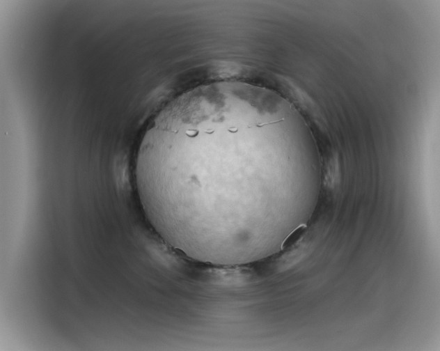 X0000115590524200911171032