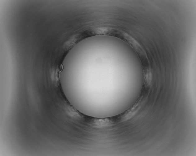 X0000115590525200911171032