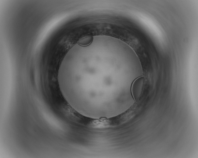 X0000115590526200911171032