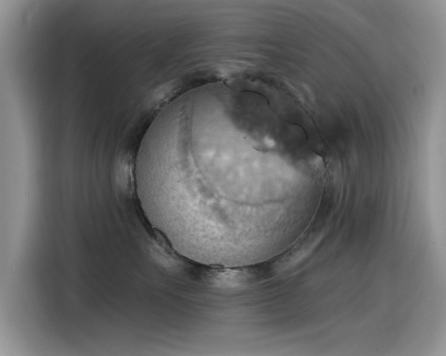 X0000115590527200911171032