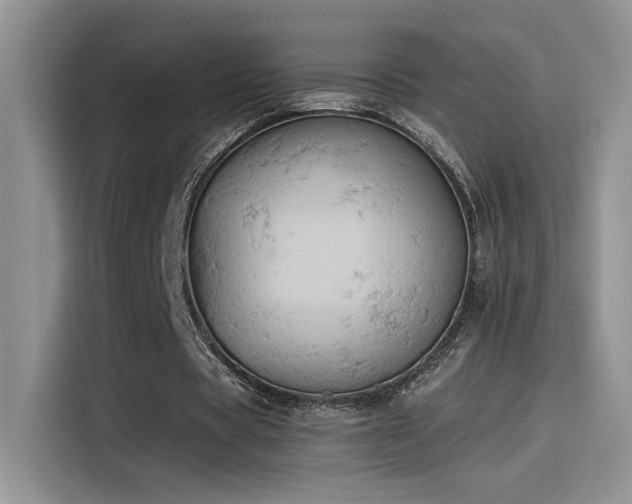 X0000115590529200911171031