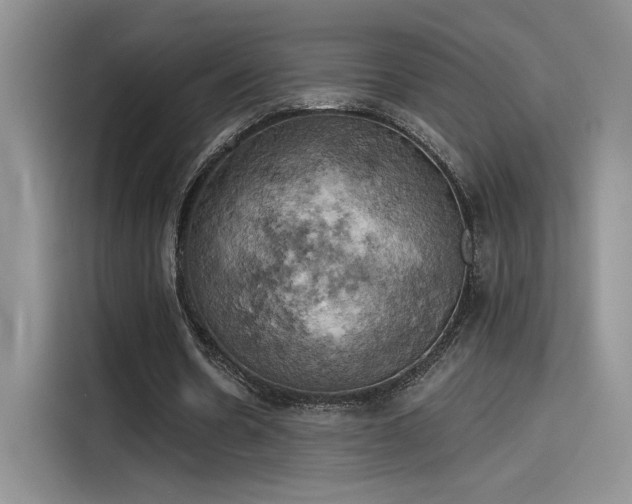 X0000115590530200911171031