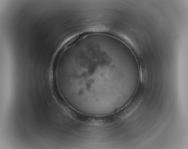 X0000115590531200911171031
