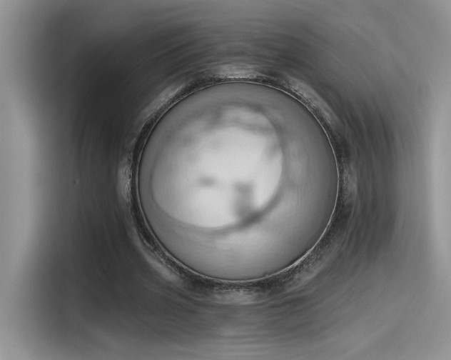 X0000115590533200911171031