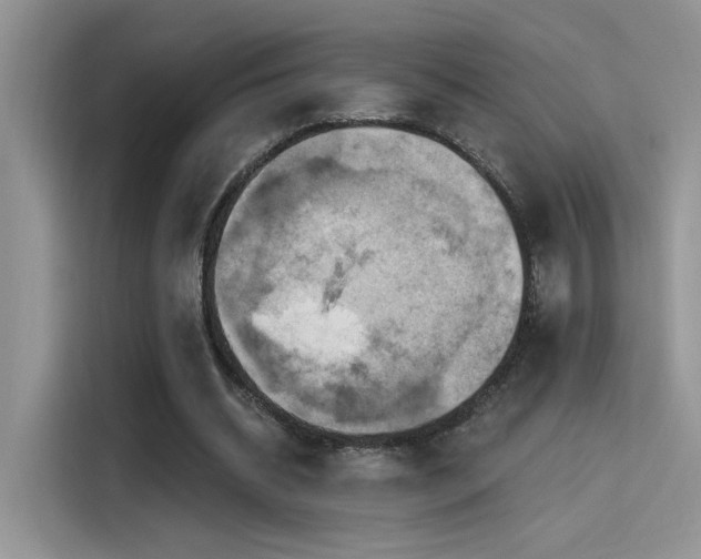 X0000115590534200911171031