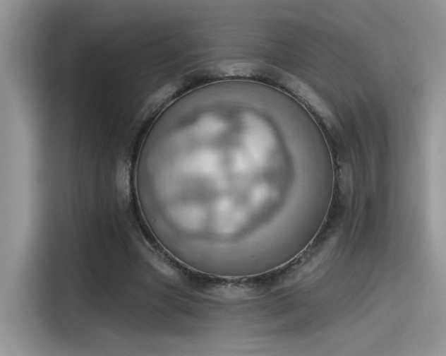 X0000115590537200911171032