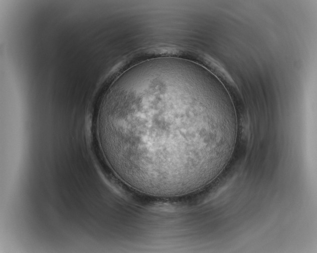 X0000115590538200911171032