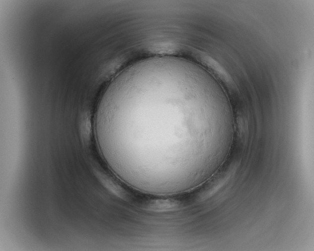 X0000115590541200911171032
