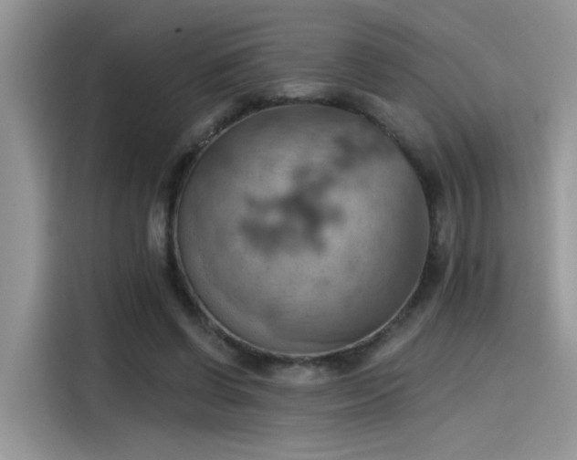 X0000115590542200911171032