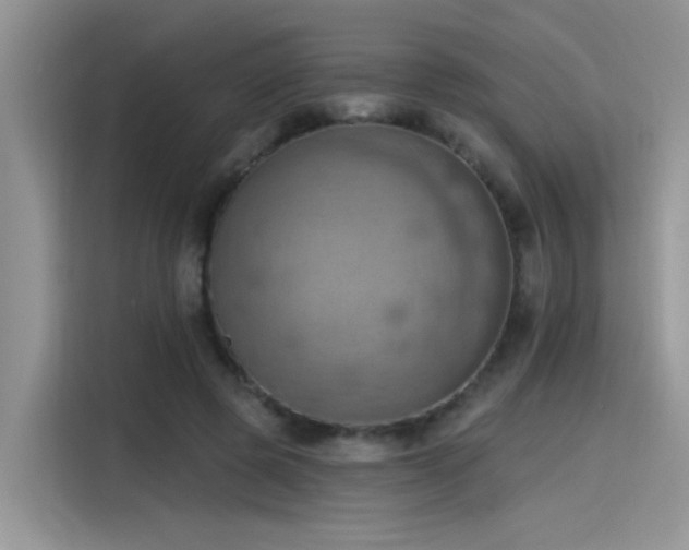 X0000115590545200911171032