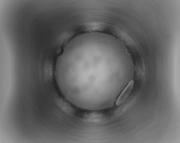 X0000115590546200911171032