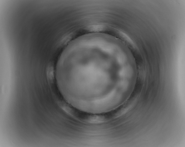 X0000115590549200911171032