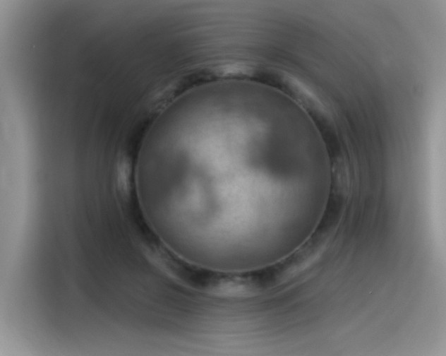 X0000115590550200911171032