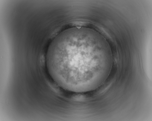 X0000115590551200911171032