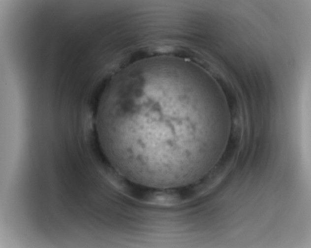 X0000115590555200911171032