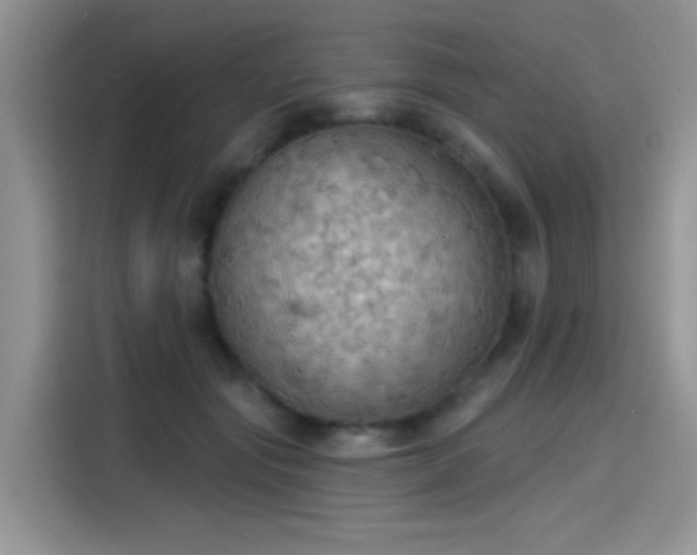 X0000115590557200911171032