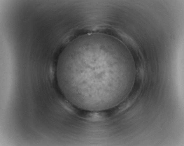 X0000115590558200911171032