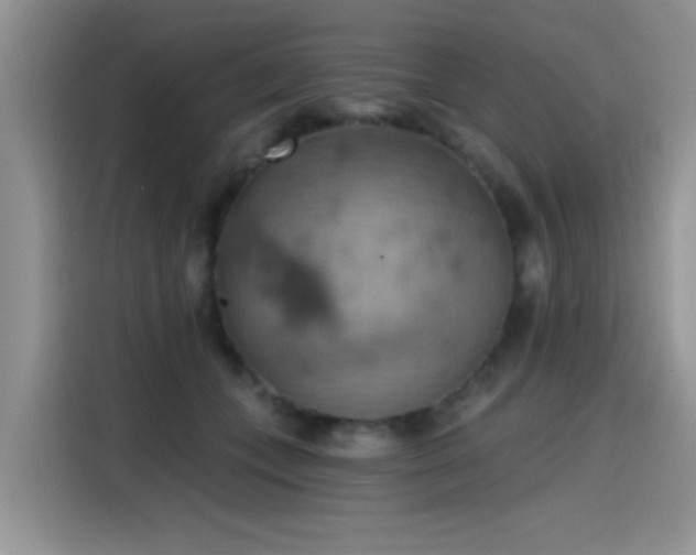 X0000115590559200911171032