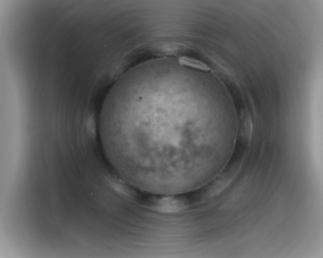 X0000115590562200911171032