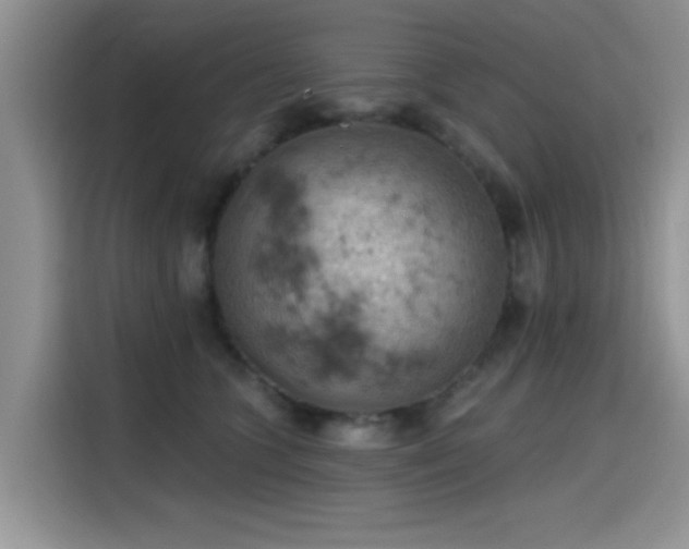 X0000115590563200911171032