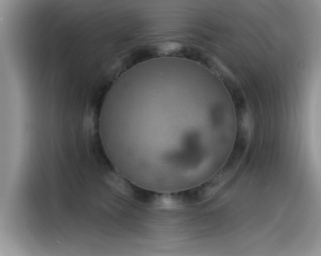 X0000115590565200911171032
