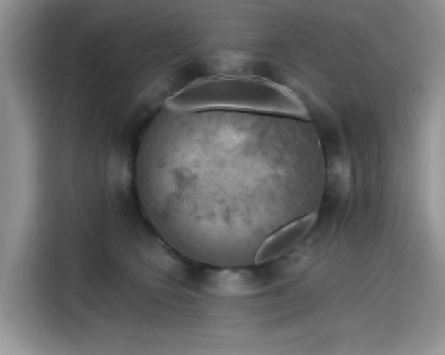 X0000115590566200911171032
