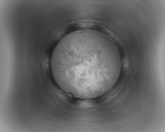 X0000115590567200911171032
