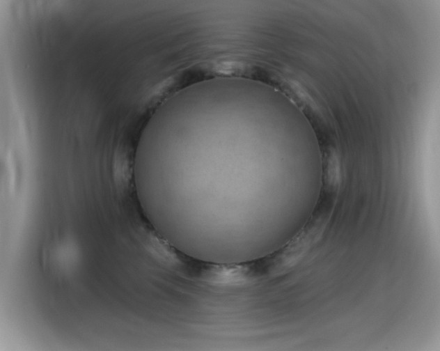 X0000115590569200911171032